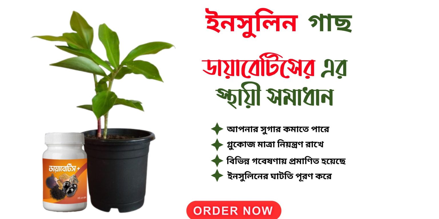 ইনসুলিন গাছ কোথায় পাওয়া যায়