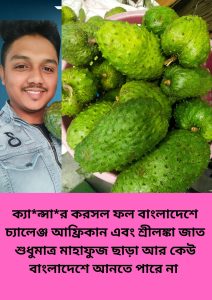 করসল গাছের চারা কোথায় পাওয়া যায় ?