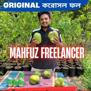 করোসল ফল করোসল পাতা কোথায় পাওয়া যায় Soursop