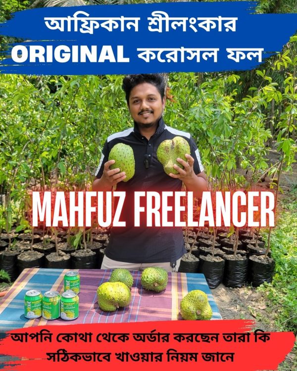 করোসল ফল করোসল পাতা কোথায় পাওয়া যায় Soursop