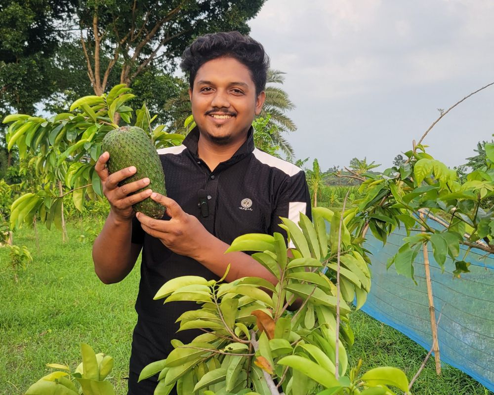 করোসল ফল কোথায় পাওয়া যায়